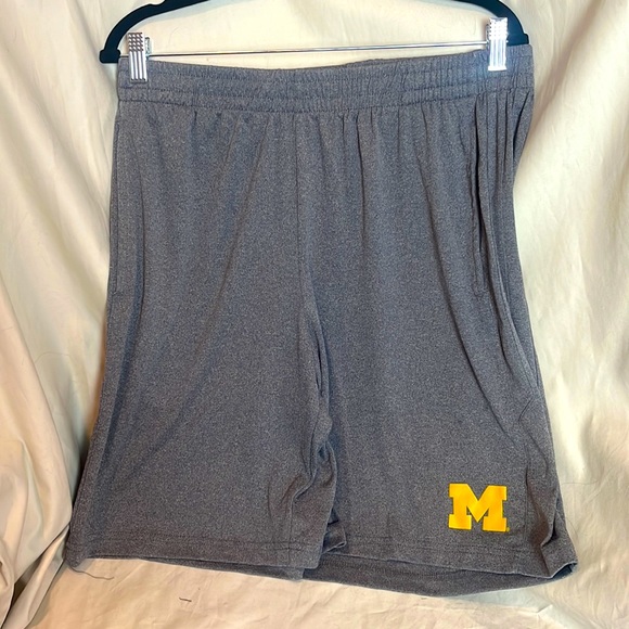 University of Michigan Grey Nylon XL Shorts with Pockets; Elasticized Waist - Picture 1 of 9